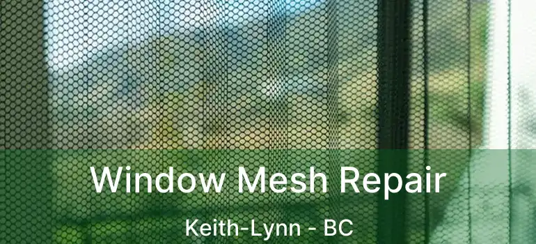  Window Mesh Repair Keith-Lynn - BC