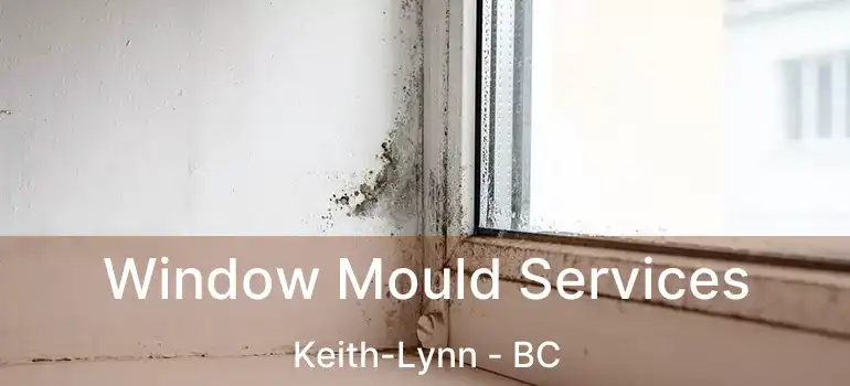  Window Mould Services Keith-Lynn - BC